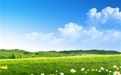 【全球通易医陈宏】忽悠《罗刹海市》里的文化元素