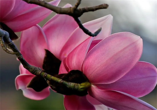 学《易经》好处