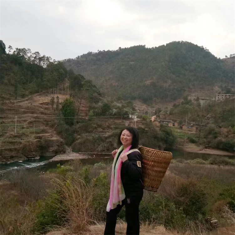 陈宏院长在缅甸调研