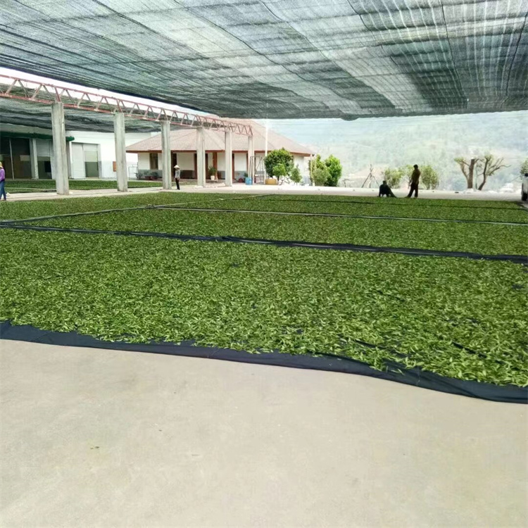 陈宏院长在缅甸调研