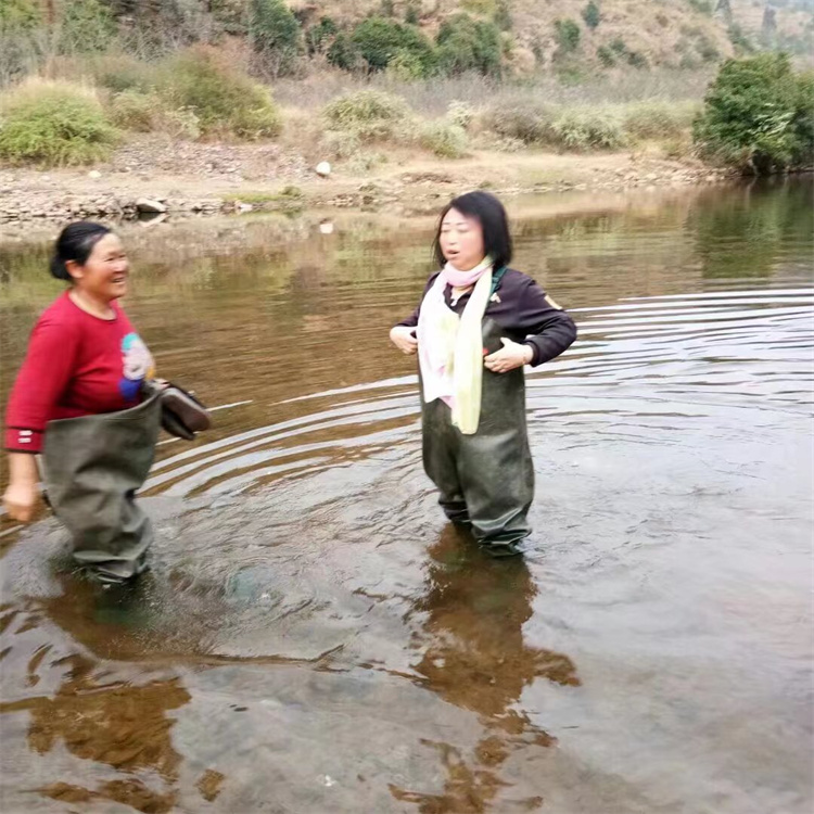 陈宏院长在缅甸调研