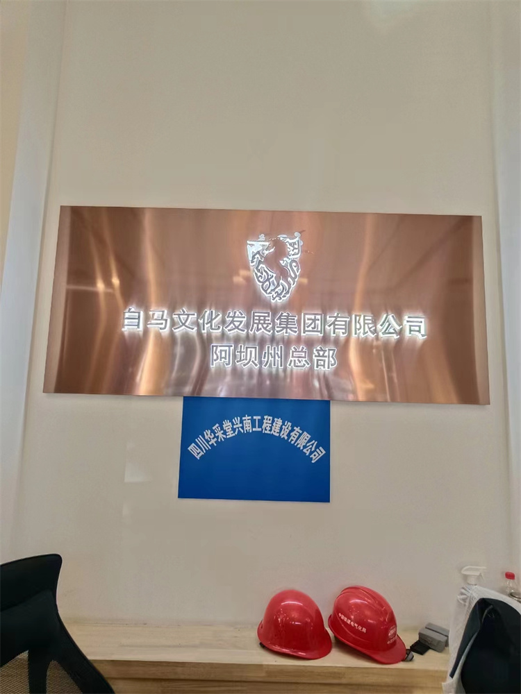 陈宏院长在阿坝州马尔康环境策划指导调研