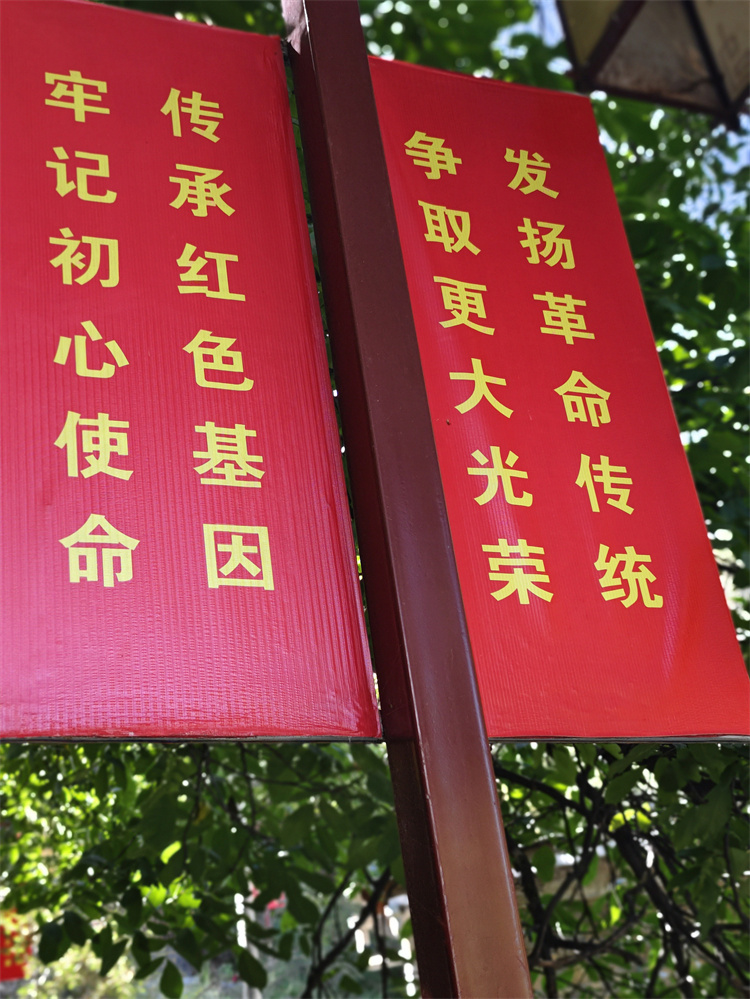 陈宏院长在阿坝州马尔康环境策划指导调研