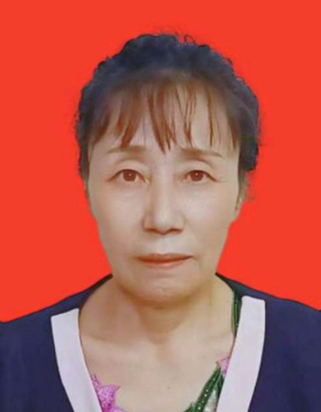 陈亚琴——理事兼传统文化环境规划师