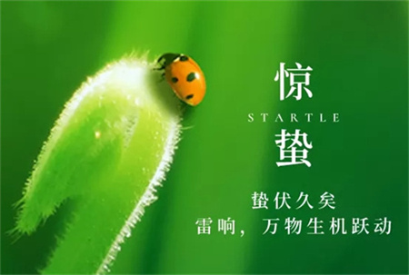 惊蛰：是二十四节气中的第三个节气