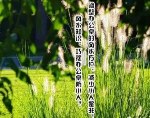 【全球通易医陈宏】明枪明档，暗箭难防！教你防小人的正确打开方式！